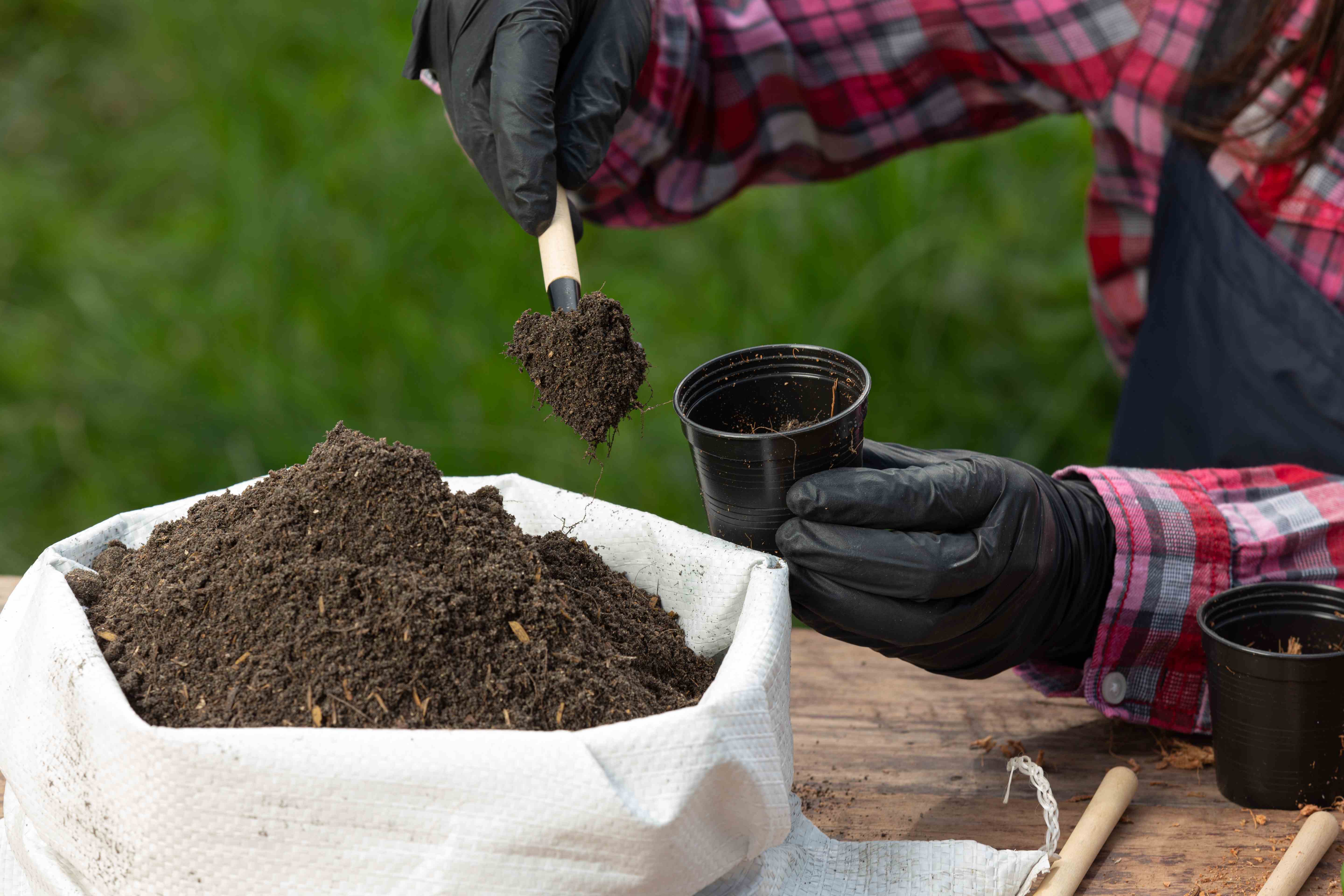 Soil and Fertilizers