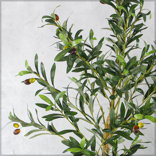 Faux Olive Plant (Black Nursery Pot)