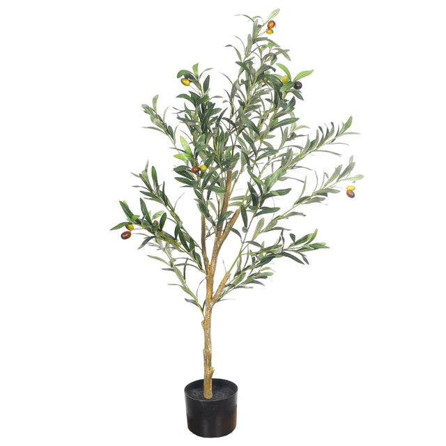 Faux Olive Plant (Black Nursery Pot)