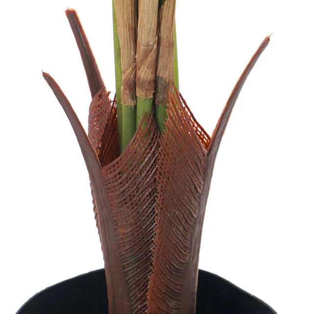 Artificial 1.2 Meter Areca Palm Plant – Indoor Tropical Décor | RJ Garden Center