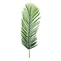 Artificial Cat Areca Palm Plant – Indoor Tropical Décor | RJ Garden Center