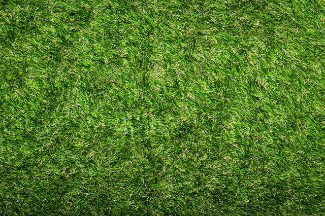 Artificial Grass Carpet Mat – 2 Square Meters | 40mm Pile Height
